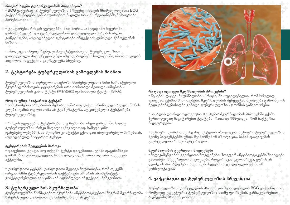 Tuberculosis: Testing, Treatment and Prevention, page 2