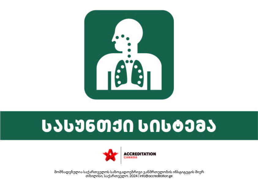 სასუნთქი სისტემა